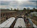 TQ4023 : Trains at Sheffield Park Station by Paul Gillett