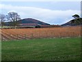 Farmland near Campmuir