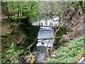 Dam in Ffynone Wood