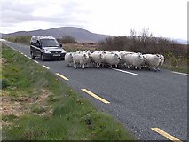 F8424 : Traffic jam, Ireland by Oliver Dixon