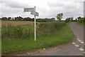 SP3312 : The lane to Leafield by Roger Davies