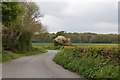 The lane to Leafield in May