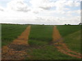 Footpath junction near Coombe farm byway