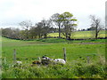 Farmland near Geanies