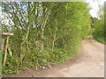 Access road to Beddlestone Farm