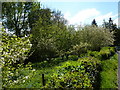 A small orchard at Birch Berrow