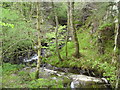 River gorge at Ponthirwaun