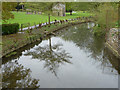 River Lark, Bury St Edmunds, Suffolk