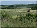 SK7919 : Farming north of Wyfordby, Leicestershire by Mat Fascione
