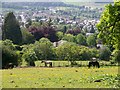 View from northern outskirts of Crieff