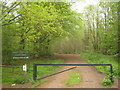 Entrance to Hemsted Forest