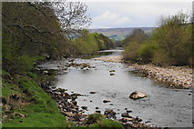 SE0598 : River Swale between Grinton and Marrick by Bill Boaden