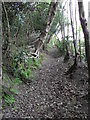 Mid section of footpath from Sandy Lane to London Road