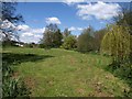 Millennium green, Thorverton