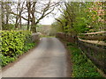 Taw Green Bridge on the river Taw