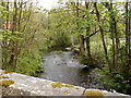 The view upstream from Taw Green Bridge on the river Taw