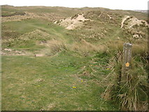 SW5741 : The coast path enters Gwithain Towans by Philip Halling