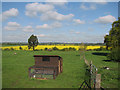 Trent Valley view