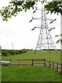 Pylon and paddock, Doe Bank Lane