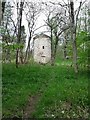 Path to the Doocot, Cumbernauld Glen