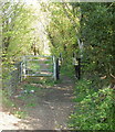 Entrance from Woodside Road, Trevethin to path into Lasgarn Wood