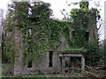 Ruined mansion, Llanstinan, front view