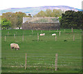 Minearny Base Station, Lough Foyle Base Line