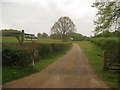 Access road to Tilden Farm