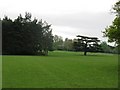 View across deer park on the Warnham Park Estate