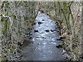 Lornty Burn, West Gormack