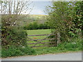 Gate and field, Cardinham