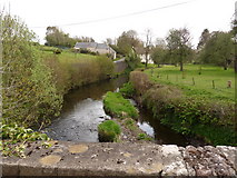 SS6504 : The view upstream from Bondleigh Bridge on the river Taw by Roger A Smith