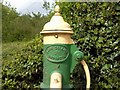 N9457 : Water pump, Co Meath by C O'Flanagan