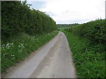 SU1629 : Narrow Lane near Ranger's Lodge Farm by Chris Heaton