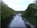 River Wharfe, looking North West  from the Road Bridge, Boston Spa