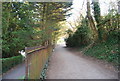 Path in Alexandra Park