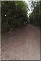 Disused Railway Line - Roe Green