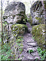 Cleft in Worton Scar