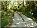 The first Bridge on the River Yeo at Hole Lane