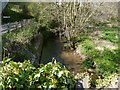 The view upstream from Brockham Bridge on the River Yeo