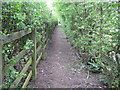 Beaconsfield: Footpath to Hedgerley