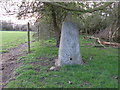 Triangulation Pillar near Blackmore Thick Farm