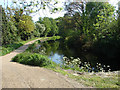 Basingstoke Canal