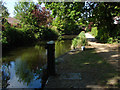 Basingstoke Canal