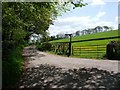 Track to Treflach Farm