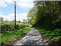 Lane heading north, towards Bellan Farm