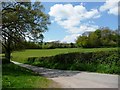 The green green grass of Shropshire