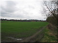 Open farmland along edge of Wansbeck River