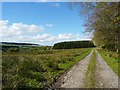 Public bridleway to The Nook