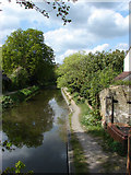 SU9757 : Basingstoke canal by Alan Hunt